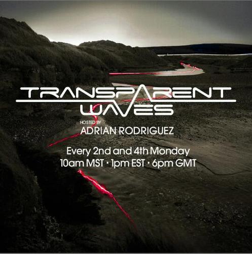 Transparent Waves banner logo