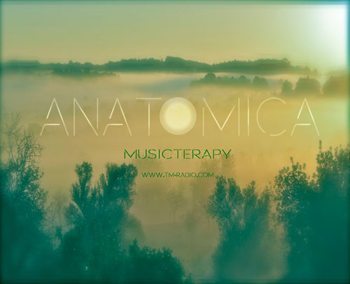 MusicTerapy banner logo