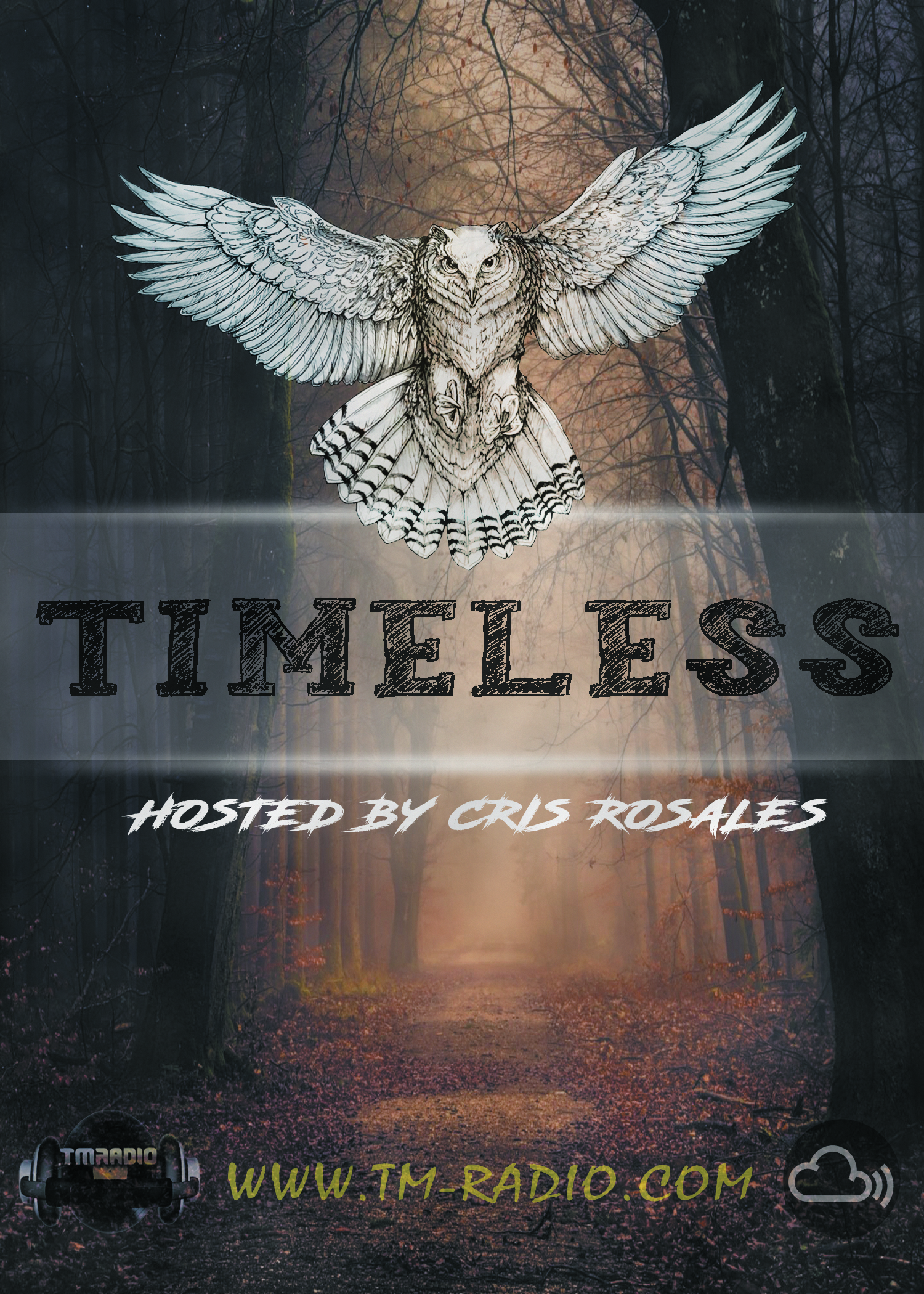 Timeless :: Episode premieres on February 1, 6pm banner logo