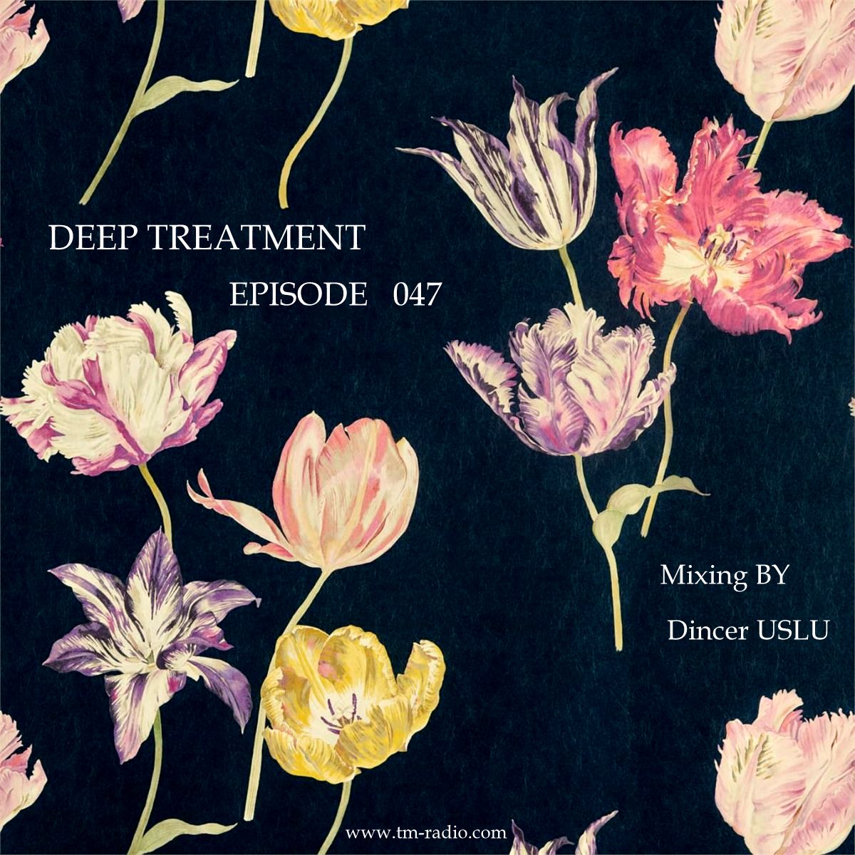 Deep Treatment :: Episode 047 (aired on November 22nd, 2019) banner logo