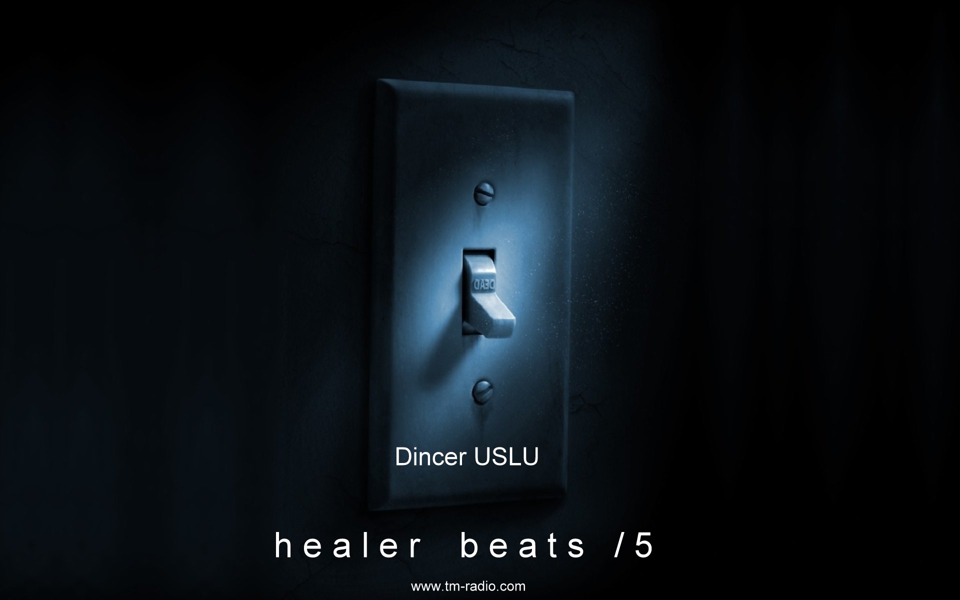 HEALER BEATS :: Episode aired on August 8, 2020, 8pm banner logo