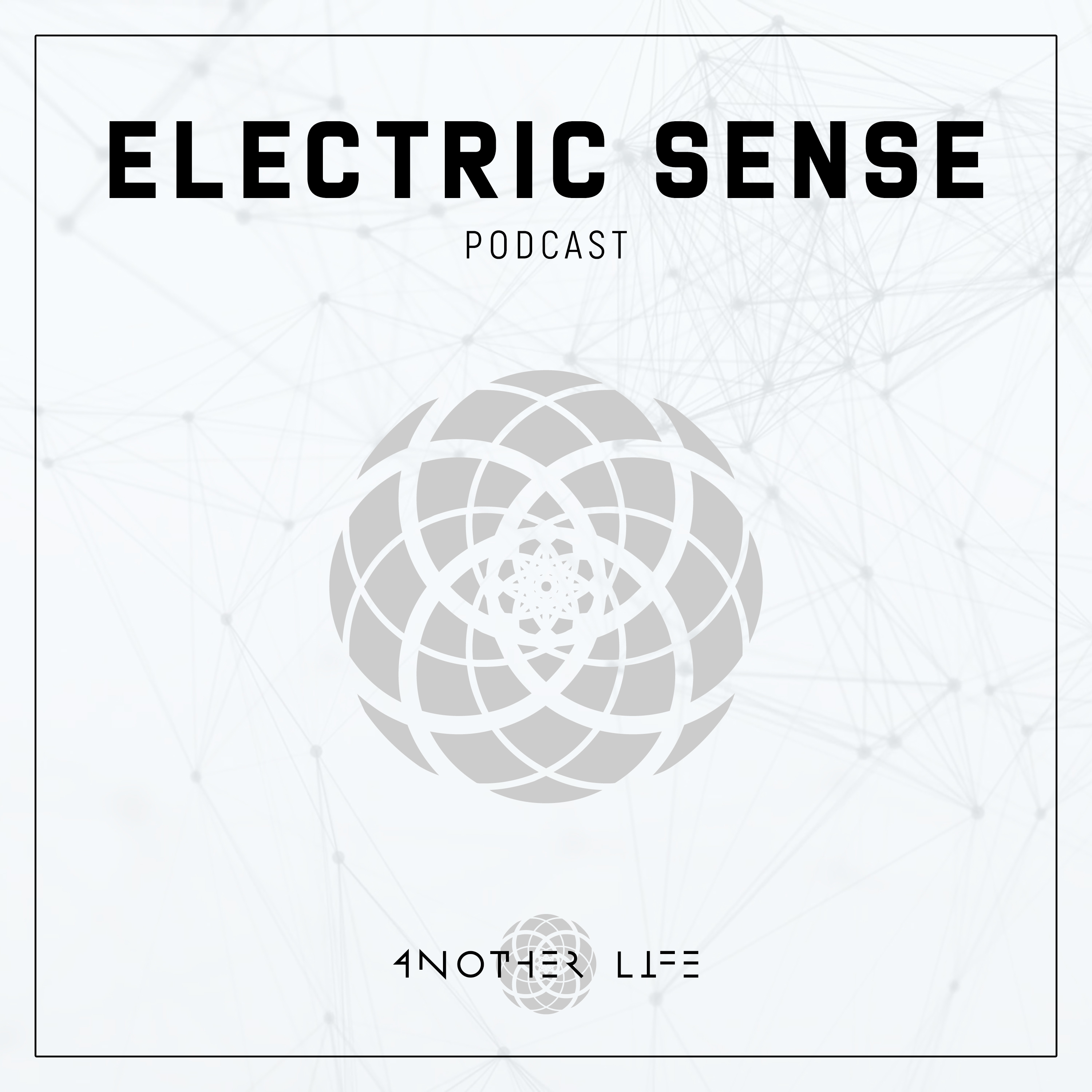 Electric Sense banner logo