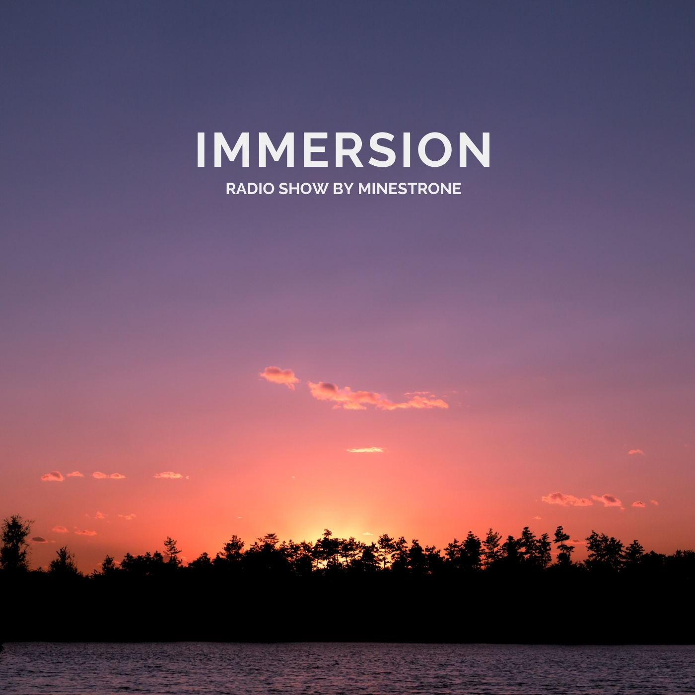 Immersion banner logo