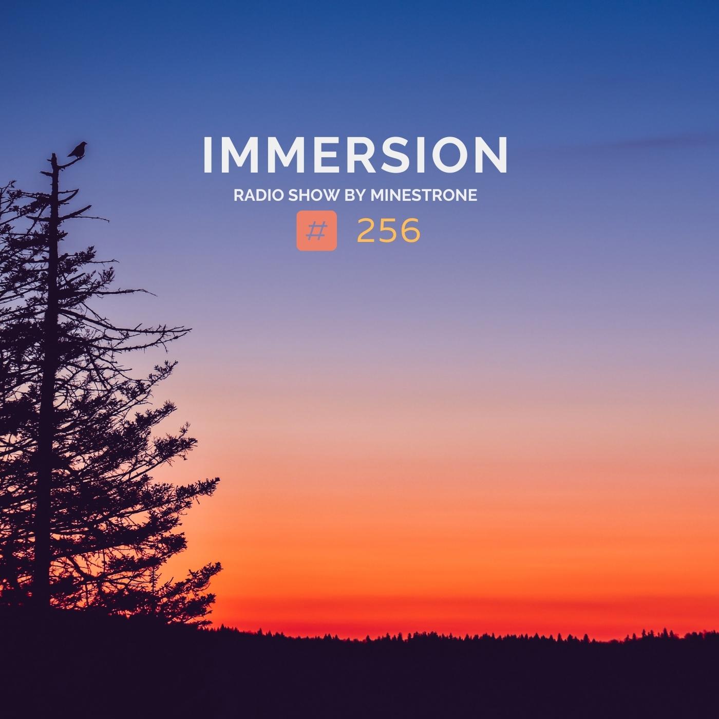 Immersion :: Episode 256 (aired on May 2nd) banner logo