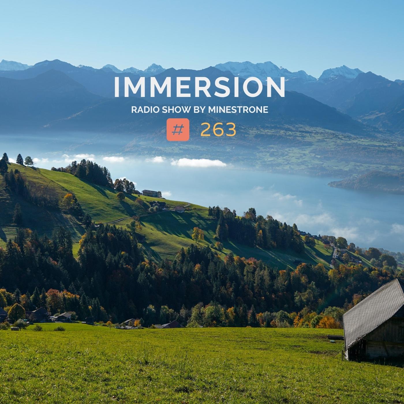 Immersion :: Episode 263 (aired on June 20th) banner logo