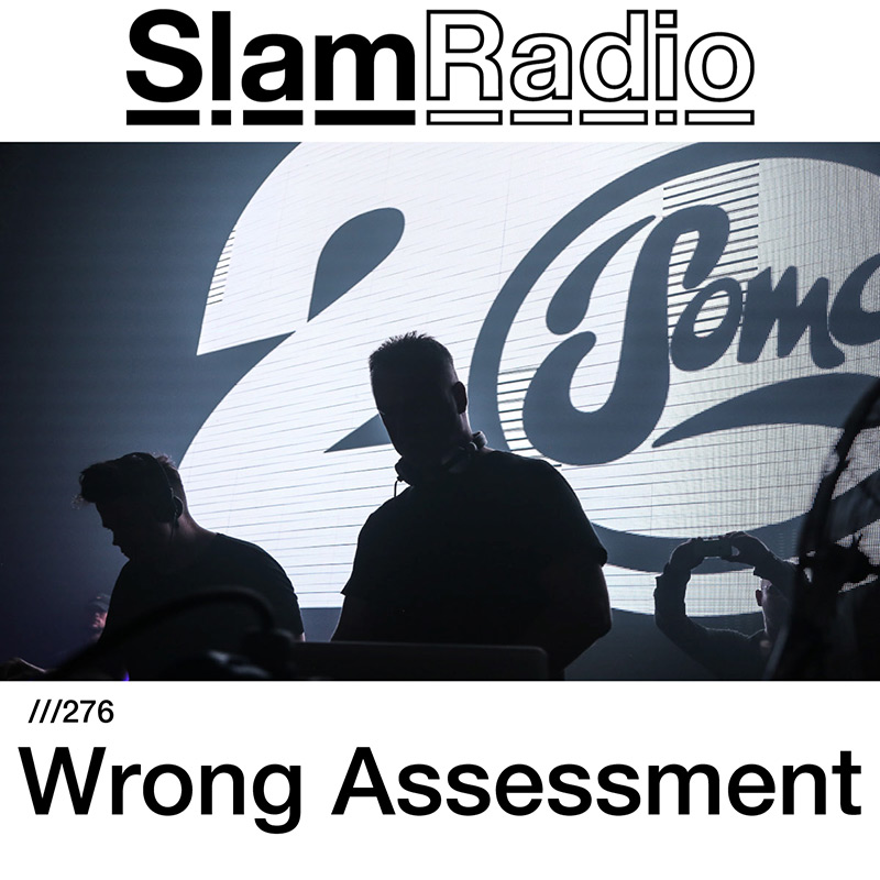 Episode 276, guest mix Wrong Assessement (from January 11th, 2018)