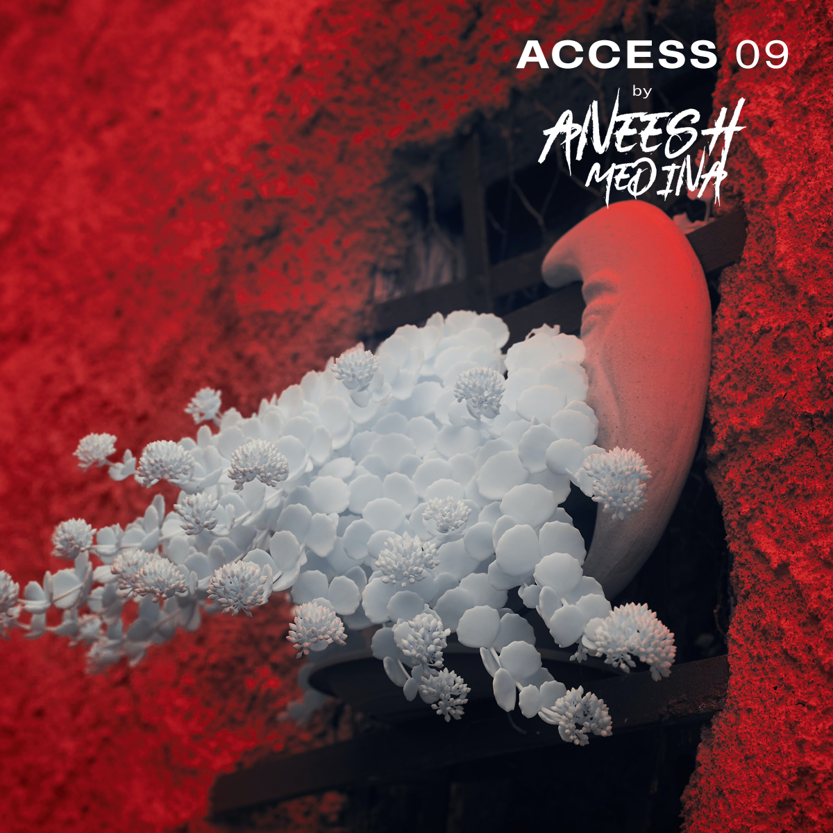 Access :: Episode aired on August 25, 2020, 9pm banner logo